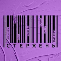 Alyona Alyona, Kalush , Otoy , Білий Бо , Шершень , Dyktor , Дядя Вова - Стержень