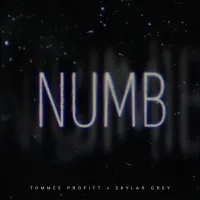 Tommee Profitt, Skylar Grey - Numb