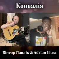Віктор Павлік, Adrian Licea - Конвалія