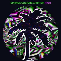 Vintage Culture, Vinter - High