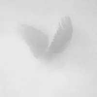 Gera Amen, Bato - Отблеск Нас