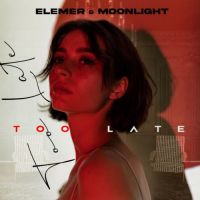 Elemer, MoonLight - Too Late