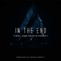 Tommee Profitt, Jung Youth , Fleurie - In the End