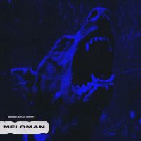 Бодя Мир642, Dewensoon - Meloman