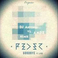 Feder & Lyse feat. DJ Antonio - Goodbye (Extended Mix)