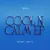 Tiesto & Rafael Cerato - Cool 'N Calm (Extended Mix)
