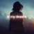 Besomorph, The Tech Thieves - In My Dreams